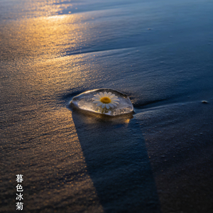 慵懒夏日