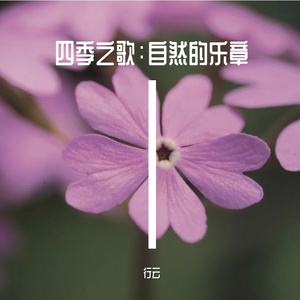 秋天落叶的悄悄私语