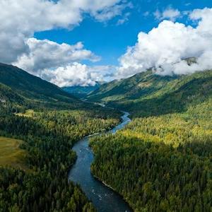 我与世界的帧帧瞬间 (隔壁老舅 Remix)