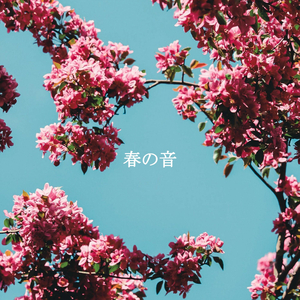 Outstanding Moods for Beach Days