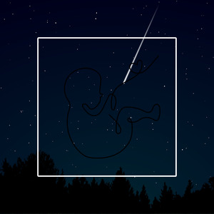 Music To Carry The Emotion Of A Mother