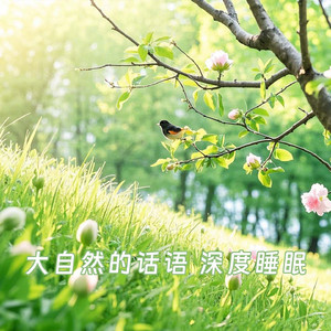 no.7 吉他助眠森林 刮风 鸟叫 流水声