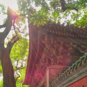 数学好烦（prod by.Red Killer)