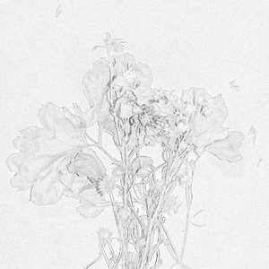 bulaklak
