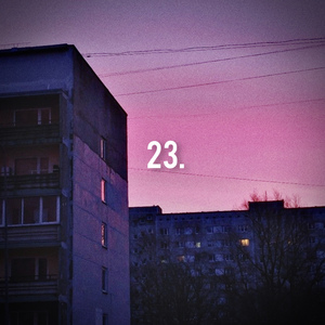 23