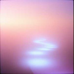 In the Quiet Before the Dawn