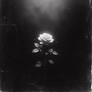 Swang (Bass Version)