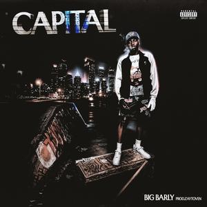 Capital