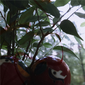 Картинка за окном