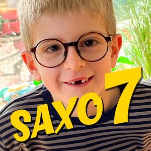 Saxo 7