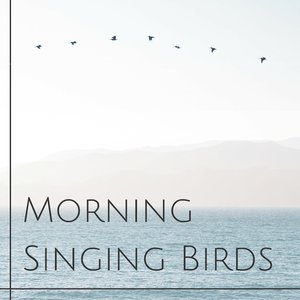 Mindfulness Meditation