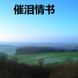 不是情人不必情深