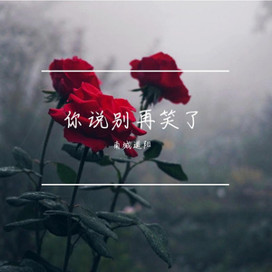 南城道阳-你说别在笑了