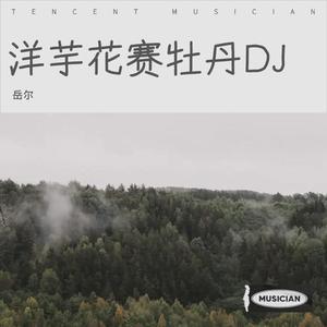 洋芋花赛牡丹DJ