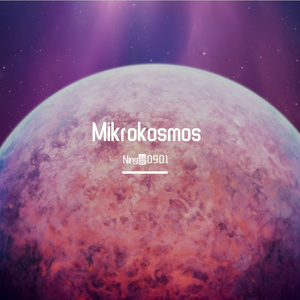 小宇宙（翻自 弹弹子）