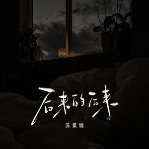 后来的后来