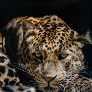 轻松欢乐活力旋律