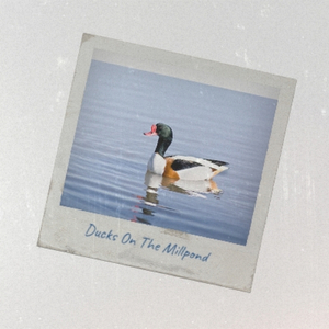 I Cried All the Way to the Bank