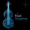 Mischa Cheung - Final Symphony - Final Fantasy X (Suteki da ne)