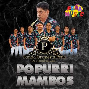 Pachuco bailarin, mambo numero 8