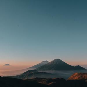 飞鸟和蝉（抖音纯享版）