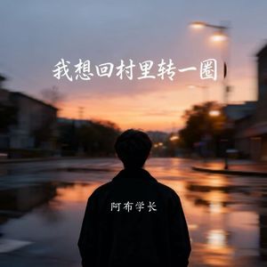 我想回村里转一圈