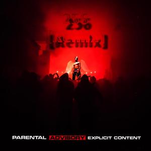 256 (Remix)