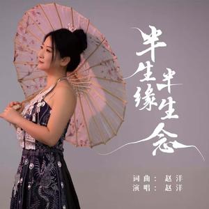 半生缘半生念-DJ阿能版