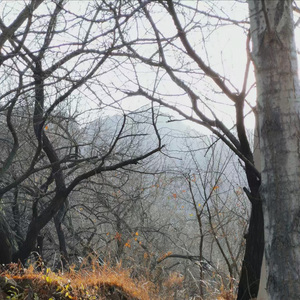 史诗国家豪情 Epic national pride.(1)