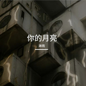 你的月亮