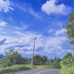 不爱我你是傻瓜 (DJ版)