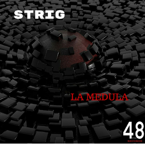 La Medula