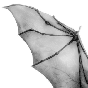 "Landed" - Wizkid/Swae Lee Type Beat