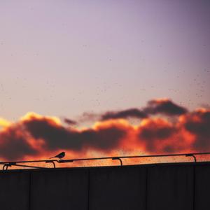 我 不 甘 心（Prod by BECU BEATZ）