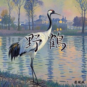 野鹤