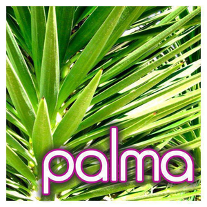 Palma (Edit)