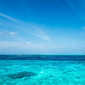 加速度的に (feat. GUMI)