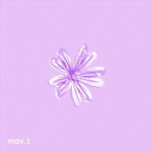 illusion (unplugged)