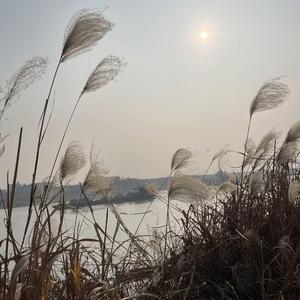 如果我变成回忆