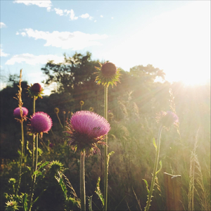 Even This Is Going to Pass (feat. Lori McKenna & Natalia Zukerman)