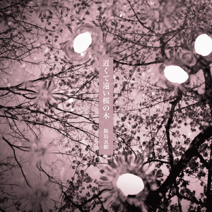 近くて遠い桜の木