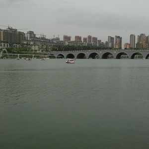 五十年以后 洋葱1991