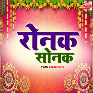 Ronak Sonak