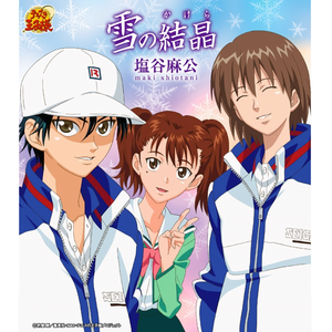 雪の結晶 (かけら)