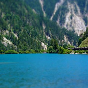 尘埃里的旧月光-马克汉姆