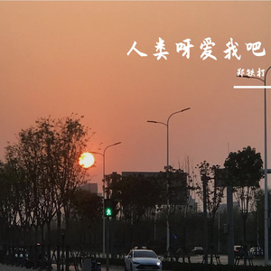 人类呀爱我吧
