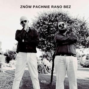 Znów Pachnie Rano Bez