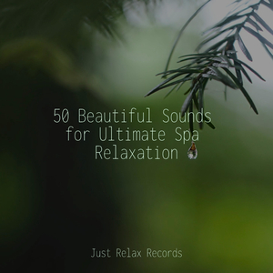 Dance of the Smoldering Flames