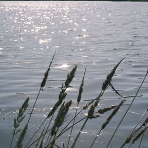 最远的你是我最近的爱