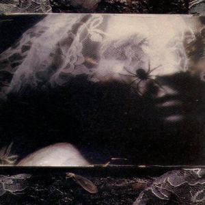 Kurxxed Emeraldz Vohr Revamp